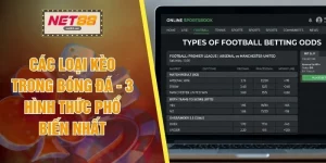 Các Loại Kèo Trong Bóng Đá - 3 Hình Thức Phổ Biến Nhất