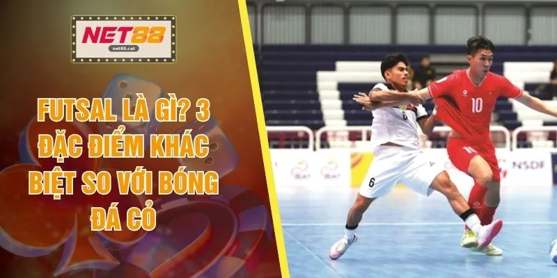 Futsal Là Gì? 3 Đặc Điểm Khác Biệt So Với Bóng Đá Cỏ 1 Futsal Là Gì? 3 Đặc Điểm Khác Biệt So Với Bóng Đá Cỏ